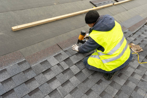 Roof Gutter Cleaning in Hart, MI