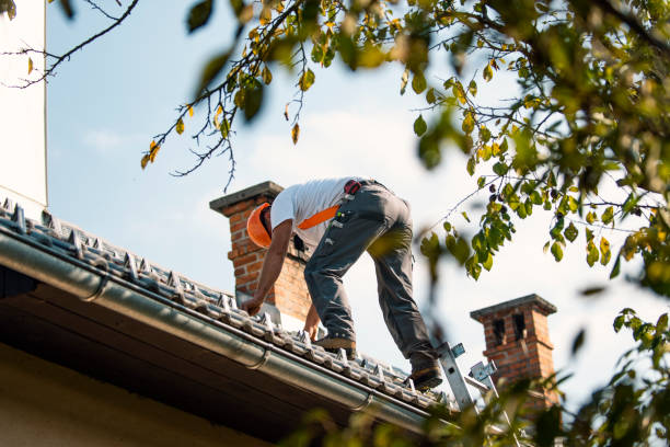 Best Residential Roofing Contractor  in Hart, MI