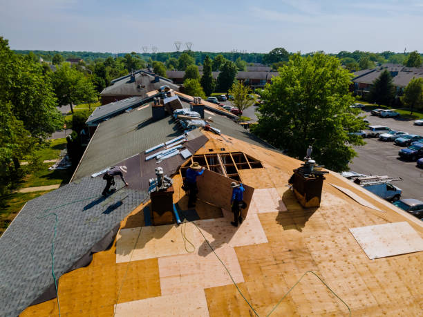Best Roof Gutter Cleaning  in Hart, MI