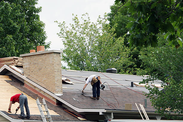 Best Metal Roofing Contractor  in Hart, MI