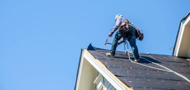 Best Sealant for Roof  in Hart, MI